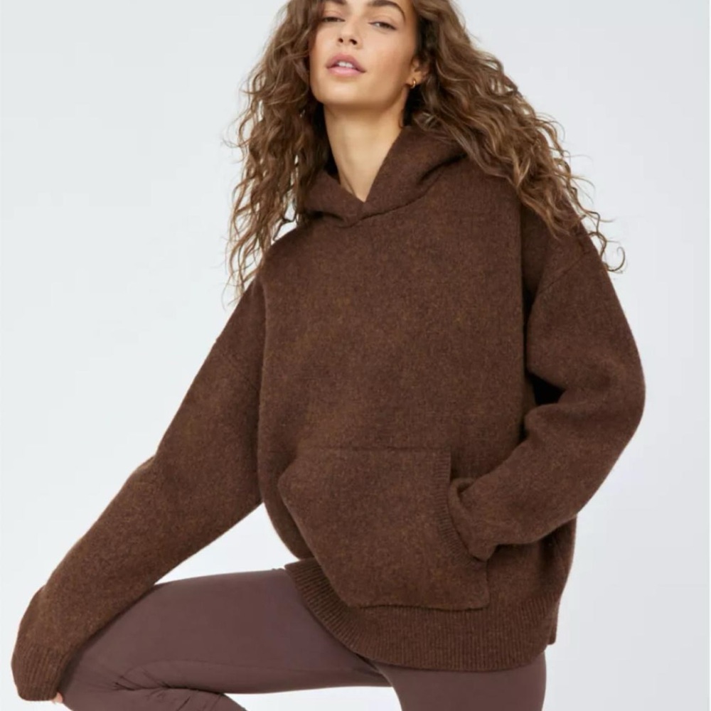Brown Aritzia TNA wool hoodie